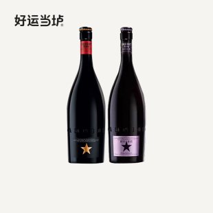 12瓶整箱西班牙星新星进口啤酒特价 大星750ml 包邮 艾帝达姆星