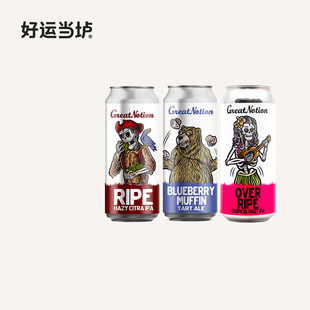 【伟大理念】成熟/过熟新英格兰IPA蓝色玛芬水果酸艾尔啤酒473ml