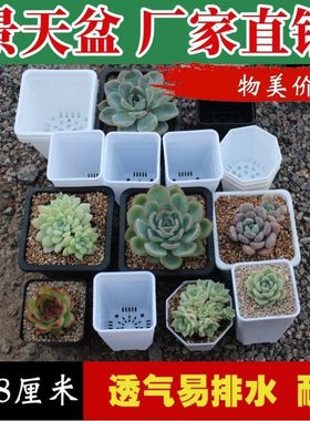 塑料黑色育苗6扦插小7-方盆简约花盆多肉黑方蔬菜方盆厘米育苗