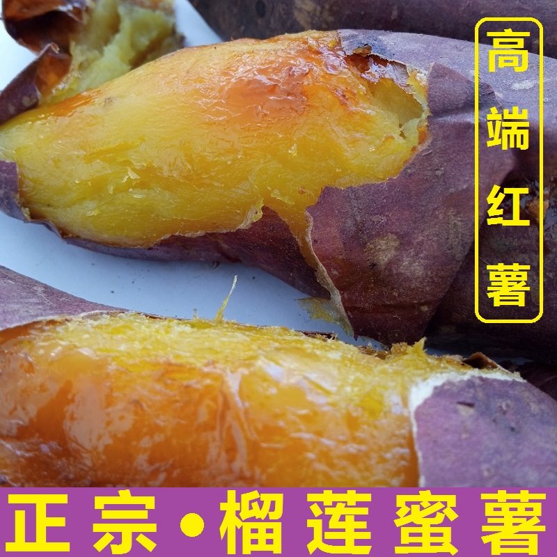 正宗榴莲蜜薯5斤 原产地山东威海烤地瓜口感软糯香甜农家自种番薯