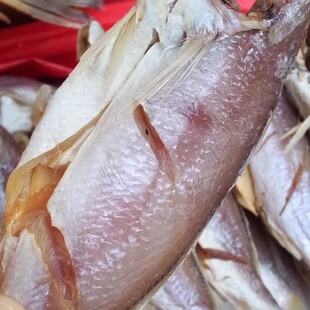 温州特产咸鱼干野生黄花鱼干无头小黄鱼干美味咸鱼干500g咸鱼