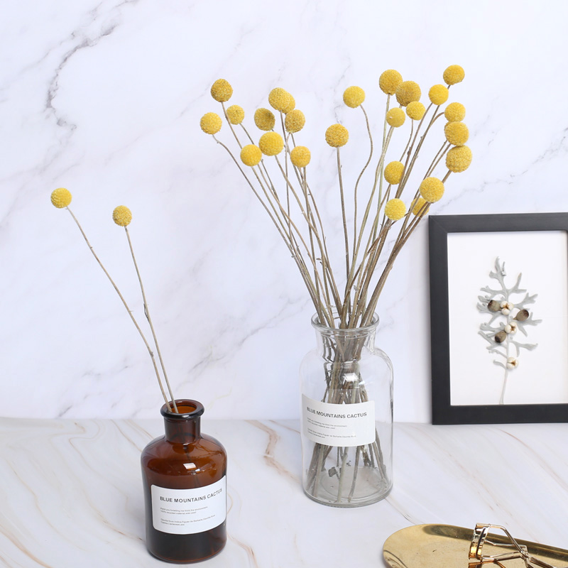 黄金球天然风干花材干花花束插花ins网红北欧风家居摆件拍摄道具