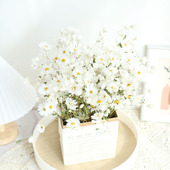 鲁丹鸟真花罗丹斯干花花束小雏菊ins网红小清新家居客厅装 饰摆件