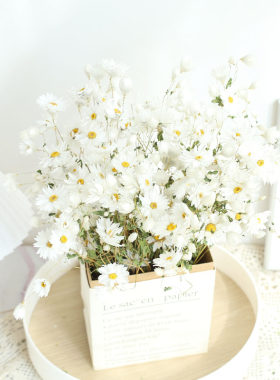 赞花村鲁丹鸟小清新罗丹斯真花