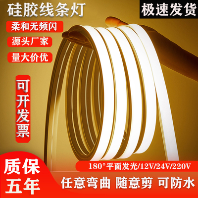LED柔性硅胶灯带12V/24V防水