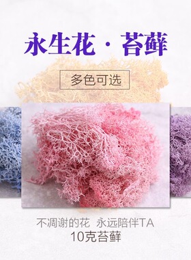 永生花苔藓 玻璃罩配草礼盒天然diy干花相框植物画材料盒装花装饰