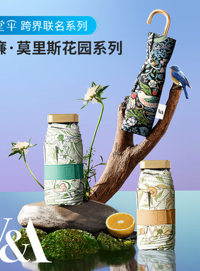 天堂伞VA博物馆联名防晒插画太阳伞轻小五折便携晴雨伞女礼盒