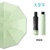 10 bones pure color extra large - avocado green