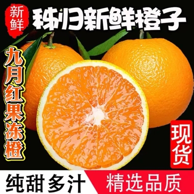 湖北当季橙子秭归九月红脐橙一级大果孕妇水果新鲜应季果冻橙甜橙