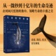从一微秒到十亿年 社图书 转换中展现生命 在时间尺度 中信出版 尼古拉斯P莫尼 正版 丰盛之美 生命奇迹 著 时间轴 生命
