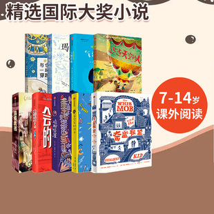 成长励志课外书 大奖小说儿童文学获奖 我爱读大奖小说系列 中信 15岁 少年冒险童话故事书籍 全套9册