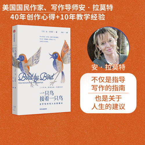 一只鸟接着一只鸟中信出版