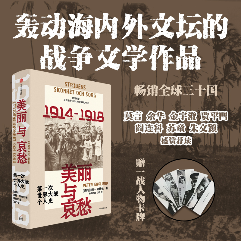 美丽与哀愁 第一次世界大战个人史 皮特恩格伦著 23段触动心弦的真实故事 一战个人史新书写 轰动海内外的战争文学作品 中信