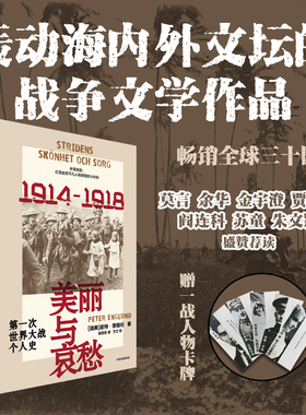 美丽与哀愁 第一次世界大战个人史 皮特恩格伦著 23段触动心弦的真实故事 一战个人史新书写 轰动海内外的战争文学作品 中信出版社