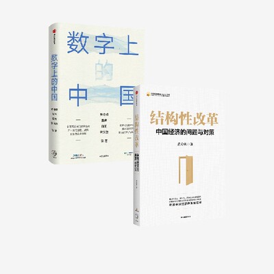 数字上的中国结构性改革中信出版