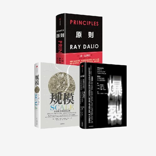 规模+原则+爆裂中信出版