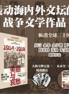 美丽与哀愁 第一次世界大战个人史 皮特恩格伦著 23段触动心弦的真实故事 一战个人史新书写 轰动海内外的战争文学作品 中信出版社