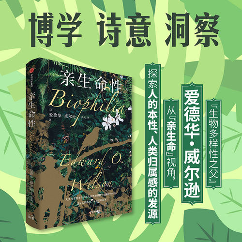 亲生命性爱德华·威尔逊
