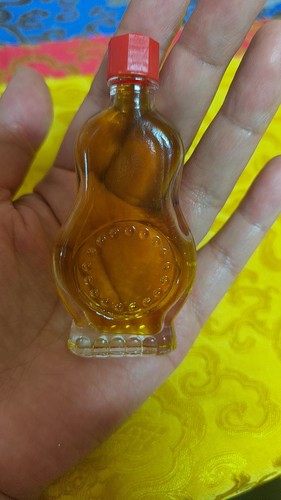 藏区小鲁茸甄选藏秘【透骨】