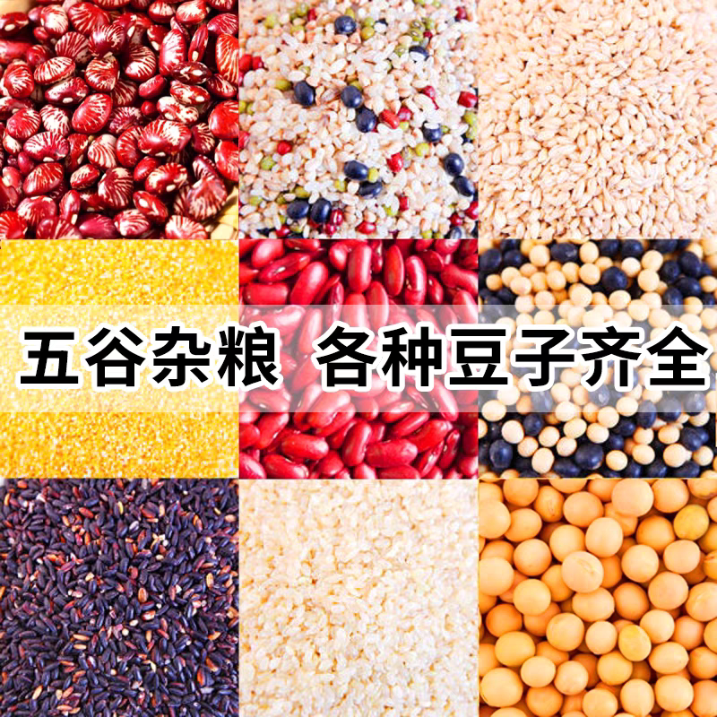 五谷杂粮种籽甜苦荞麦燕麦黑小麦家庭园艺种子
