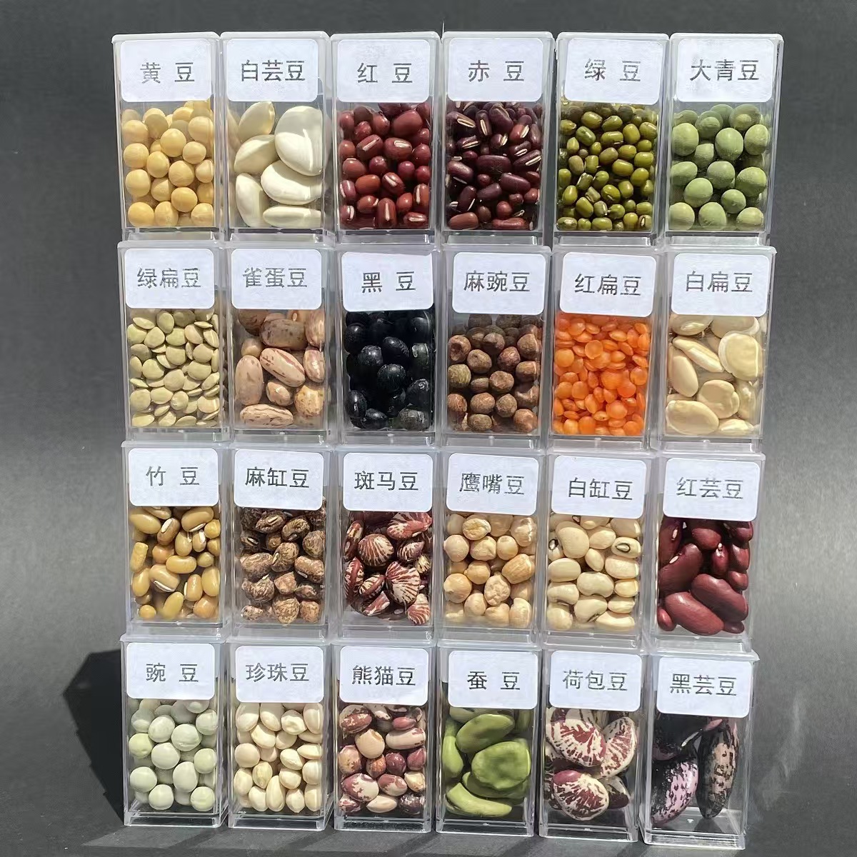 108种透明自封袋装种子墙壁标本展示盒幼儿园科学区展示装饰材料