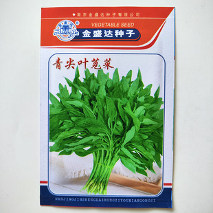 青柳叶青苋菜种籽小叶尖叶绿苋菜籽耐热白苋菜种孑青菜种蔬菜籽种