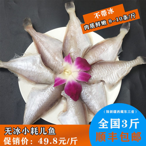 小号耗儿鱼500克扒皮鱼海鲜马面鱼 冷冻冰鲜海鲜四川重庆火锅食材