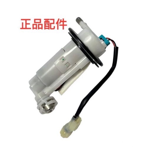 适用于大力神 DLS200-D 两轮电喷摩托车 汽油泵 燃油泵总成过滤网