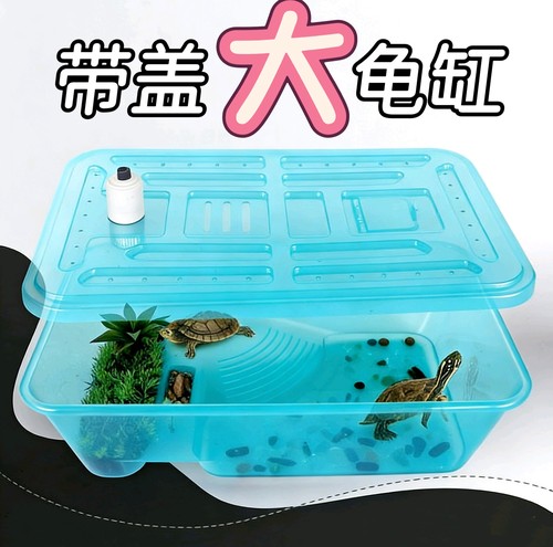 带盖子防逃逸超值特价爬宠专用