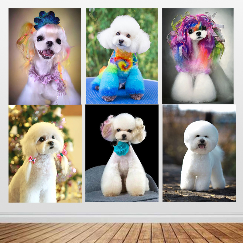 宠物店装饰画宠物狗染色造型贴画宠物狗狗泡沫板KT板犬自粘挂画