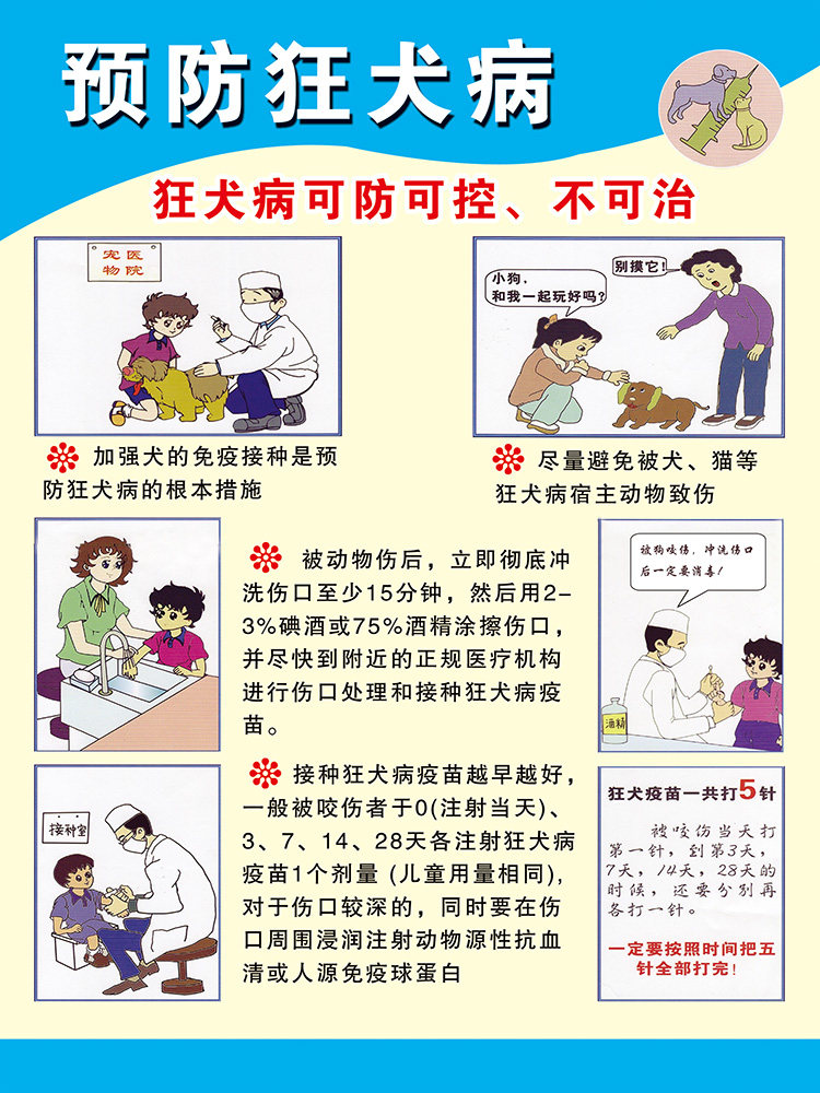狂犬病海报狂犬病防治图宠物店诊所贴墙画狂犬病预防宣传画693