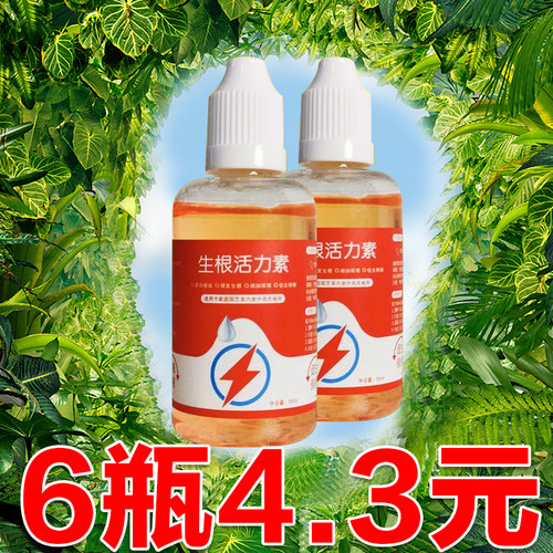 活力素养花用的浓缩通用型