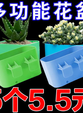 环保加厚绿植壁挂式家用简约塑料