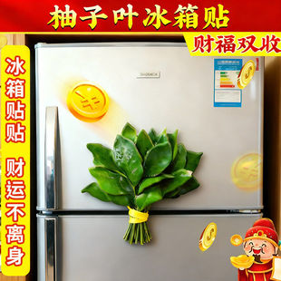 柚子叶冰箱贴去晦气磁贴转运个性创意磁吸装饰可爱趣味高级亚克力