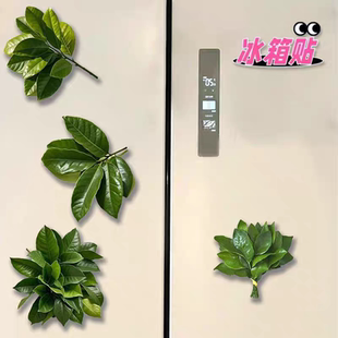 柚子叶冰箱贴磁吸幸运树脂创意小众搞怪礼物冰箱装饰单层款冰箱贴