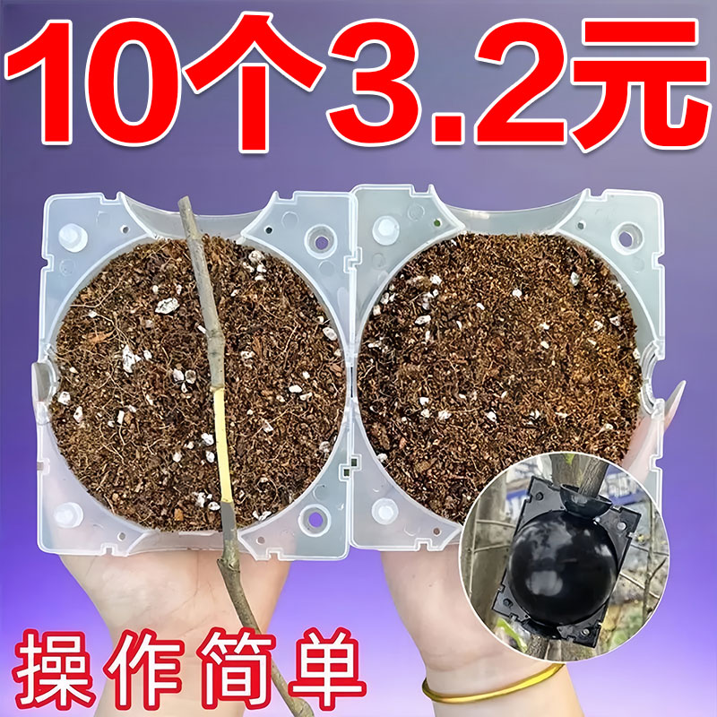 高压盒嫁接盒高压生根繁殖球扦插高压球植物高压繁殖盒月季生根盒