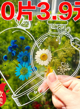 干花书签植物标本塑封膜秋天收集枫叶手工diy材料透明树叶粘贴画