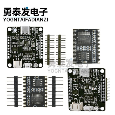 ASR-PRO语音识别控制模块