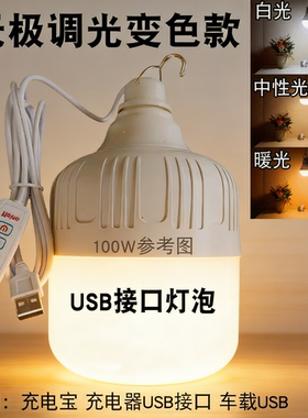 usb接口灯泡超亮usb灯泡带线带开关暖光三色变光5V照明灯充电宝灯