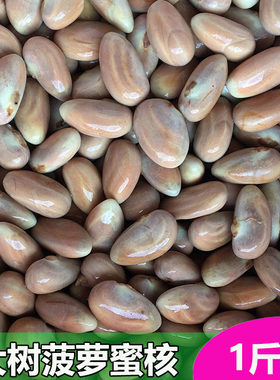 粤西大树菠萝蜜核干包湿包蜜核仁籽水果核新鲜菠萝核种子