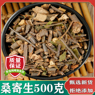 桑寄生中药材精选特级新货广西梧州桑寄生野生桑寄生茶500克包邮