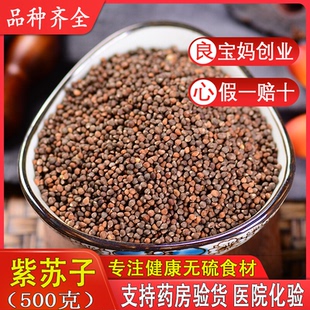 东北特产新鲜紫苏 生苏子食用苏籽 紫苏种子烧烤料 500g装包邮