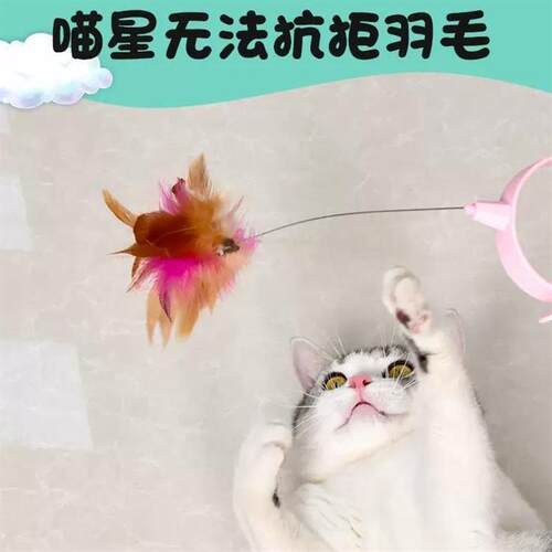 网红款猫咪逗猫棒宠物项圈逗猫棒彩色羽毛带铃铛自嗨逗猫玩具