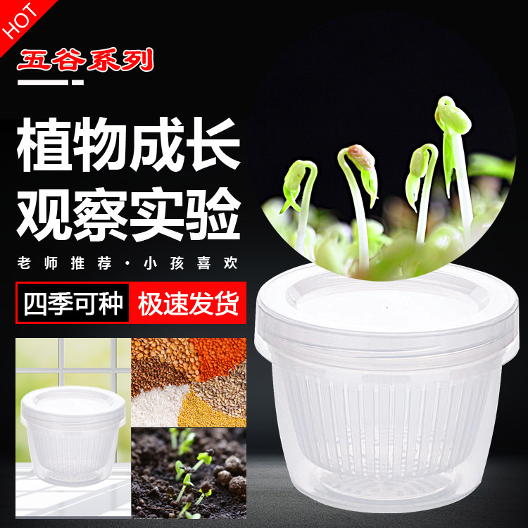 学生植物观察小实验观察套装