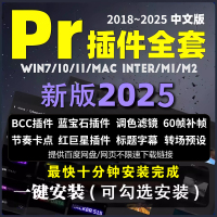 PR2025全套插件合集一鍵安裝磨皮BCC藍(lán)寶石轉(zhuǎn)場調(diào)色預(yù)設(shè)降噪軟件