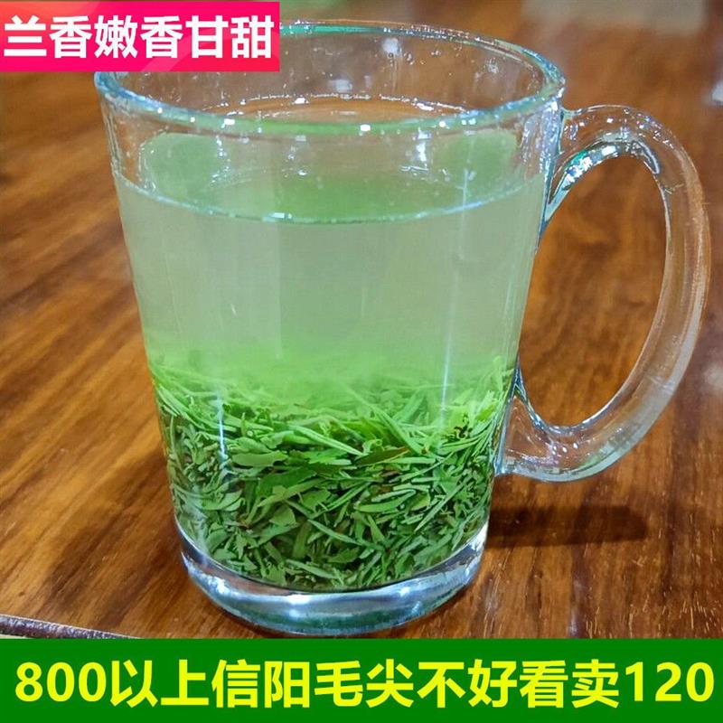 千元高档信阳毛尖2026新茶叶嫩芽茶片碎茶明前风头风针兰香味十足