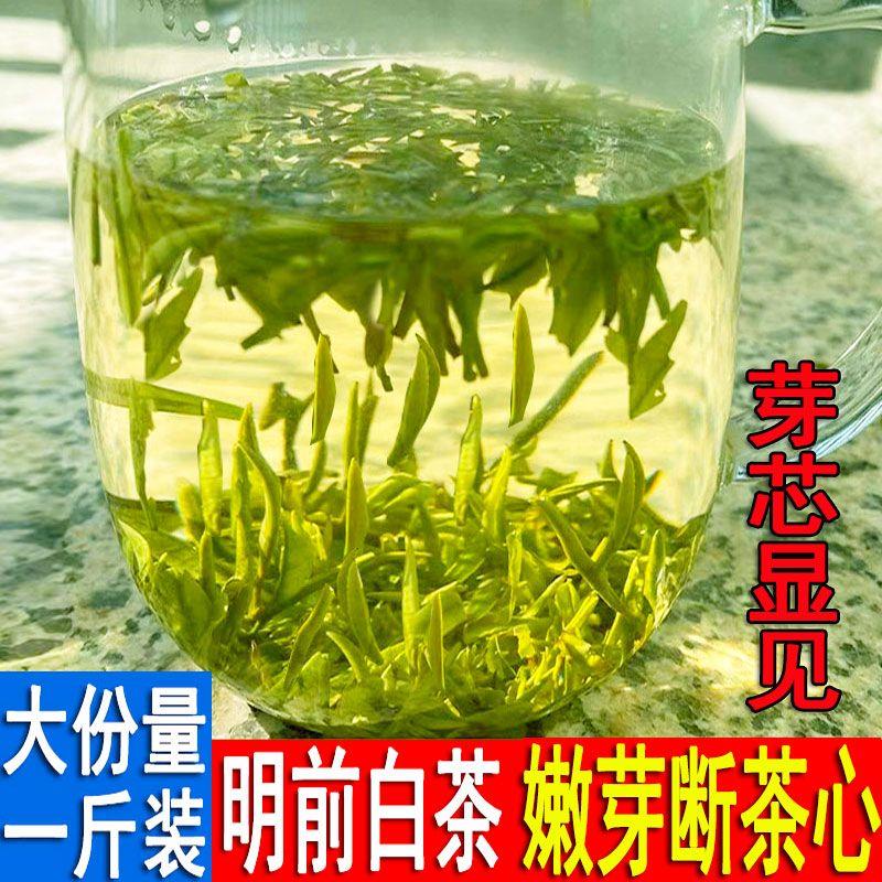 现货2025明前白茶嫩芽茶片碎茶心500g源自特级筛选茶叶新茶黄金芽