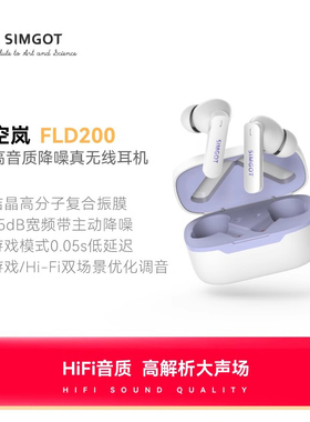 兴戈空岚FLD200真无线入耳式ANC主动降噪蓝牙耳机长续航高音质