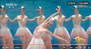 春晚同款朱鹮舞蹈服芭蕾舞表演服装伴舞领舞鸟雀艺考现代舞演出服