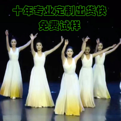 获奖作品好舞服易跳溢美的舞服